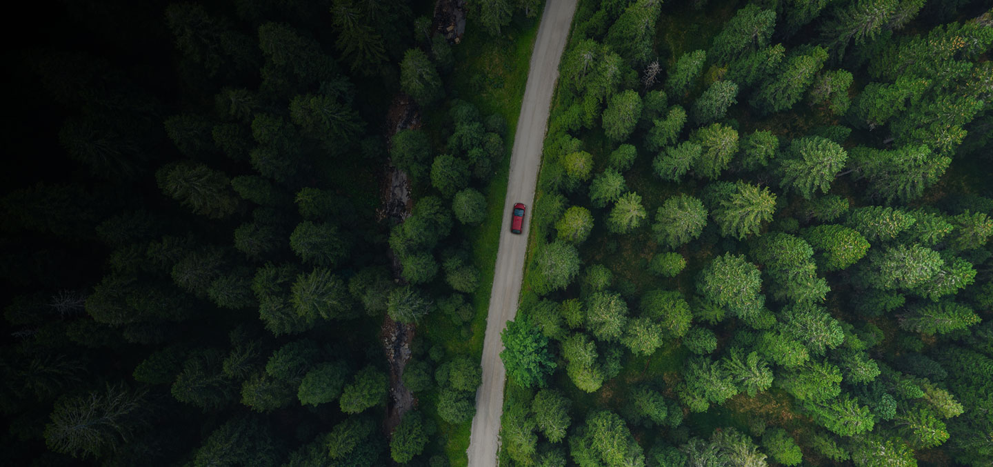 Overhead shot of EV car driving through a thick, green forest.